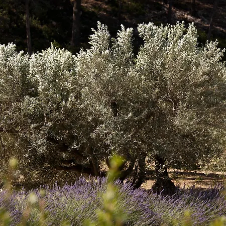 Benvengudo 4* Les Baux-de-Provence